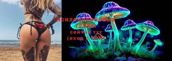таблы Верея