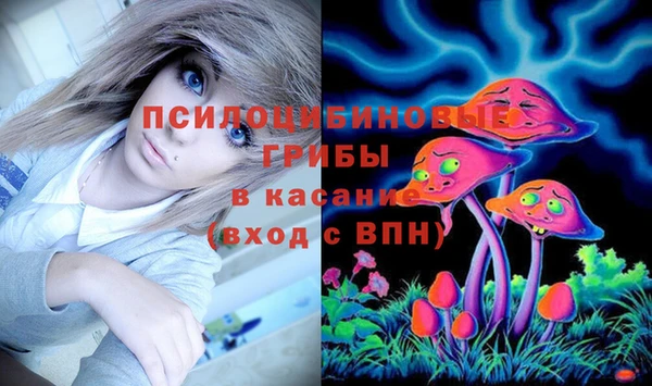 молекула духа Волоколамск