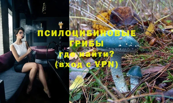 молекула духа Волоколамск
