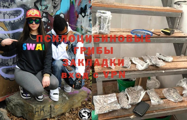 молекула духа Волоколамск