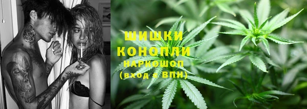 молекула духа Волоколамск