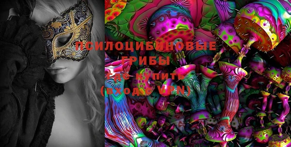 молекула духа Волоколамск
