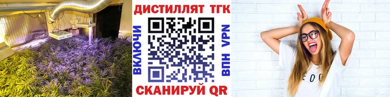 ссылка на мегу рабочий сайт  где купить наркотик  Новоржев  Дистиллят ТГК гашишное масло 