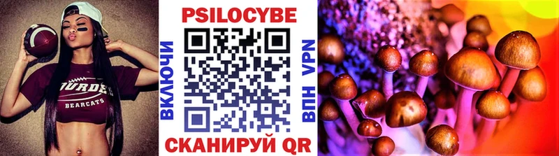 Галлюциногенные грибы Cubensis Новоржев