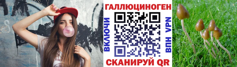 Псилоцибиновые грибы GOLDEN TEACHER где найти Новоржев